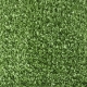 Sport Grass